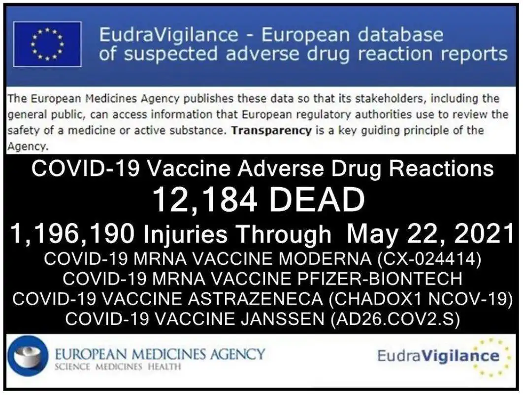 12184 Tote fast 1,2 Millionen Impf-Nebenwirkungen Stand:22. Mai 21