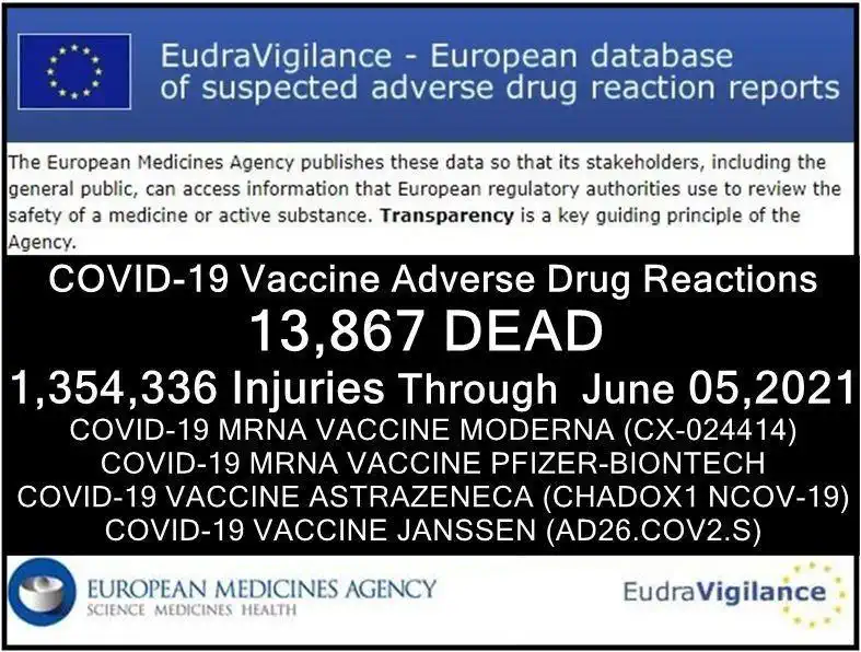 13867_Tote mehr als 1,3 Mio Impf Nebenwirkungen 05.Juni.21