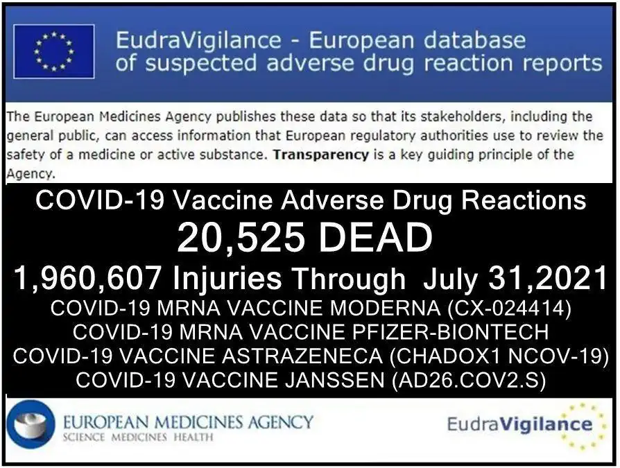 EMA 20.595 Tote 1.960.607 Impfschäden zum 31ten Juli