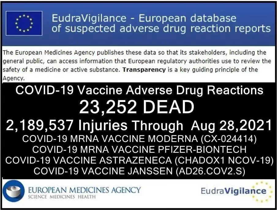 EMA 23.252 Tote und 2.189.537 Impfschäden zum 28 August