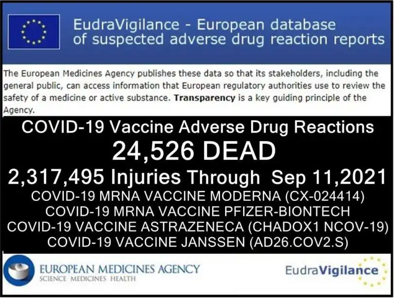 EMA 24.526 Tote und 2.317.495 Impfschäden COVID Impfung zum 11. September