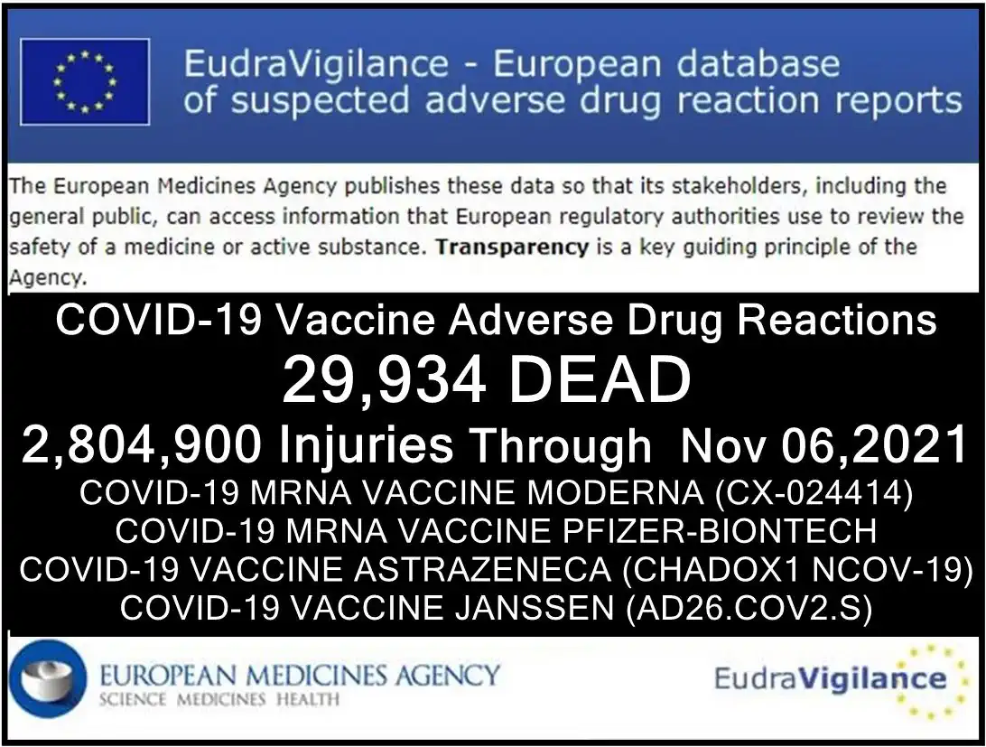 EMA 29.934 Tote und 2.637.525 Impfschäden zum 06.November